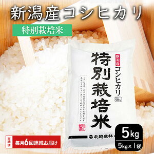 yӂ邳Ɣ[Łzʍ͔|ĐVYRVqJ5kg@6Ał͂܂Bg    R ͂ V  RVqJ uh   Yn@͂F\