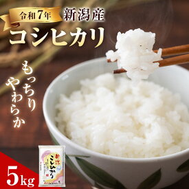 【ふるさと納税】R7年産米 新潟産コシヒカリ5kg　お届け：10月中旬以降発送予定
