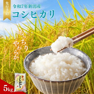 【ふるさと納税】R7年産米 新潟産コシヒカリ5kg お届け:10月中旬以降発送予定