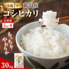 【ふるさと納税】R7年産米【定期便】新潟産コシヒカリ5kg×6回　お届け：2025年10月中旬以降発送予定