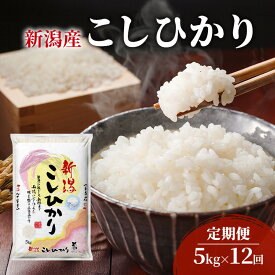 【ふるさと納税】【定期便】新潟産コシヒカリ5kg×12回 米 こしひかり 定期 新潟市