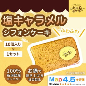【ふるさと納税】【新潟県産米粉100％使用】シフォンケーキ 塩キャラメル 1セット(10個） | 鍋焼き グルテンフリー 健康 ヘルシー 焼き菓子 お菓子 スイーツ ギフト 贈り物 新潟市