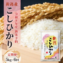 楽天市場】令和6年産新米 新潟産コシヒカリ5kgの通販
