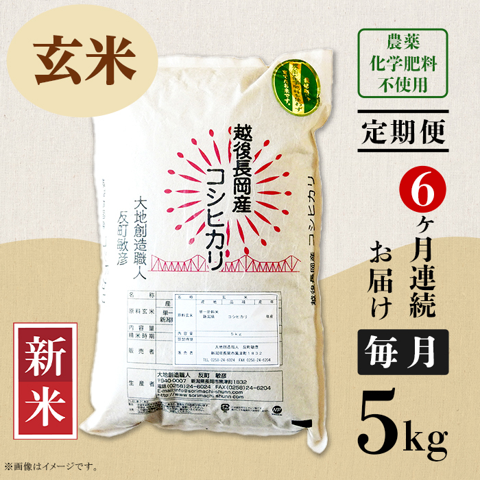 お気に入る】 【ふるさと納税】米 定期便 5kg 玄米 6ヶ月 コシヒカリ