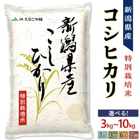 【ふるさと納税】米 定期便 令和7年産 3kg 5kg 10kg 3回 6回 12回 3ヶ月 6ヶ月 12ヶ月 新潟こしひかり コシヒカリ 特別栽培米 選べる 発送時期が選べる 上旬 中旬 下旬 精米 白米 お米 JA直送 農協（えちご中越農業協同組合）