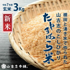 【ふるさと納税】米 玄米 コシヒカリ 新潟 令和7年 新米 G3-7G03旧山古志村のこしひかり「たねすはら米」玄米3kg（新潟県産コシヒカリ）