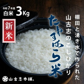 【ふるさと納税】米 白米 コシヒカリ 新潟 令和7年 新米 G3-7K03旧山古志村のこしひかり「たねすはら米」白米3kg（新潟県産コシヒカリ）