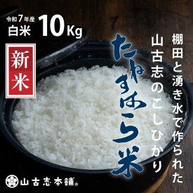 【ふるさと納税】米 10kg 白米 コシヒカリ 新潟 令和7年 新米 G3-7K10旧山古志村のこしひかり「たねすはら米」白米10kg（新潟県産コシヒカリ）