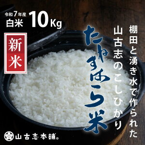 yӂ邳Ɣ[Łz 10kg  RVqJ V ߘa7N V G3-7K10RÎûЂu˂͂āv10kgiVYRVqJj