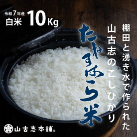 【ふるさと納税】米 10kg 白米 コシヒカリ 新潟 令和7年 G3-7K10旧山古志村のこしひかり「たねすはら米」白米10kg（新潟県産コシヒカリ）