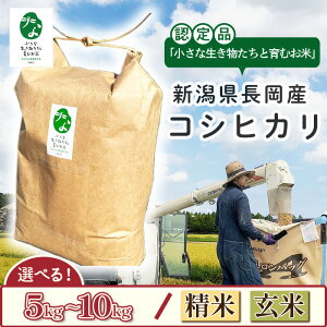 yӂ邳Ɣ[ŁzV ߘa7NY  Iׂ   5kg 10kg V RVqJ   VЂ VYRVqJuȐƈނāvFؕiiIIcJt@[