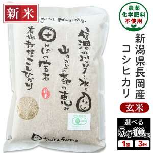 yӂ邳Ɣ[Łzߘa7NY Vė\   JASL@͔| 5kg 10kg 3 3 VЂ RVqJ Iׂ  iIIcJt@[j