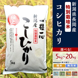 【ふるさと納税】新米予約 令和8年産 米 無洗米 定期便 5kg 10kg 新潟コシヒカリ 選べる容量 種類 発送回数 1回 3回 6回 12回 3ヶ月 6ヶ月 12ヶ月 新潟こしひかり 新潟 コシヒカリ 精米 白米 お米 新潟県産コシヒカリ（有限会社グリーン）