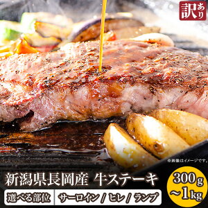 yӂ邳Ɣ[Łz󂠂 s   T[C v q Xe[L ē q IׂeʁE 300g 450g 500g 600g 750g 900g 1000g 1kg VsYiЃt[hRlNgj