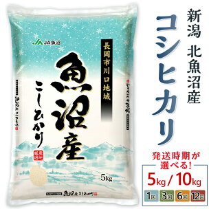 米 定期便 5kg 10kg 令和7年産 魚沼 コシヒカリ...