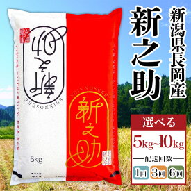 【ふるさと納税】米 新米 定期便 5kg 10kg 令和8年産 選べる容量・定期回数 新之助 3回 6回 3ヶ月 6ヶ月 新潟県産米 新潟県 長岡市産 精米 白米 お米（株式会社コバヤシ）