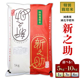 【ふるさと納税】米 新米 令和8年産 定期便 5kg 10kg 新潟 新之助 選べる回数 1回 3回 6回 3ヶ月 6ヶ月 精米 白米 お米 新之助5kg（株式会社コバヤシ）