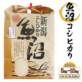 【ふるさと納税】令和8年産 米 新米 定期便 5kg 10kg 魚沼 新潟 コシヒカリ 選べる回数 1回 3回 6回 3ヶ月 6ヶ月 新潟こしひかり 精米 白米 お米 食品 魚沼産コシヒカリ（長岡川口地域）（株式会社コバヤシ）