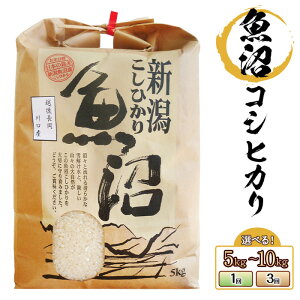 yӂ邳Ɣ[Łzߘa7NY Vė\ V   5kg 10kg  V RVqJ Iׂ 1 3 3 VЂ    YRVqJinjiЃR