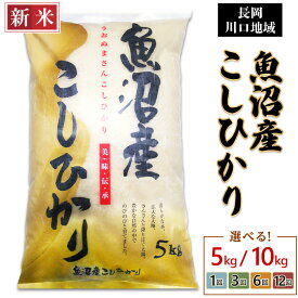 【ふるさと納税】新米予約 令和7年産 米 定期便 5kg 10kg（5kg×2袋）魚沼 新潟 コシヒカリ 選べる 1回 3回 6回 12回 3ヶ月 6ヶ月 12ヶ月 新潟こしひかり 精米 白米 お米 新潟県魚沼産コシヒカリ（長岡川口地域）（越後農産）