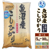 楽天市場】コシヒカリ 10kg 無洗米 魚沼の通販