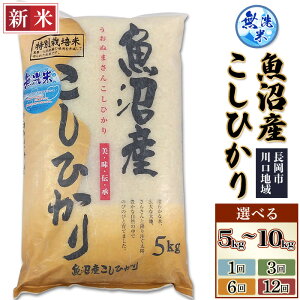 yӂ邳Ɣ[ŁzVė\ ߘa7N     V RVqJ Iׂ 5kg 10kgi5kg×2܁j 1 3 6 12 3 6 12 VЂ   VYʍ͔|ăR