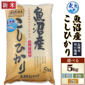 yӂ邳Ɣ[ŁzVė\ ߘa7N     V RVqJ Iׂ 5kg 10kgi5kg×2܁j 1 3 6 12 3 6 12 VЂ   VYʍ͔|ăR