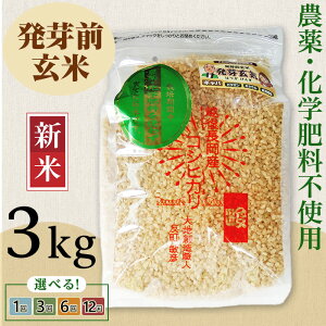 yӂ邳Ɣ[ŁzVė\ ߘa7NY   O 3kg V RVqJ  Iׂ 1 3 6 12 3 6 12 VЂ  N  e VYRVqJ