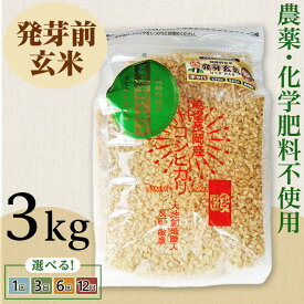 【ふるさと納税】令和7年産 米 玄米 発芽前玄米 3kg 新潟 コシヒカリ 定期便 選べる回数 1回 3回 6回 12回 3ヶ月 6ヶ月 12ヶ月 新潟こしひかり お米 健康 腸活 美容 新潟県産コシヒカリ発芽前玄米（大地創造職人 反町敏彦）