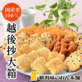 【ふるさと納税】米菓 あられ おかき 食べ比べ 新潟 F3-05A越後抄大箱【新潟味のれん本舗】