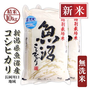 yӂ邳Ɣ[Łz  10kg  RVqJ  V ߘa7N V H0-7M101AVYRVqJinj10kgi5kg×2܁j