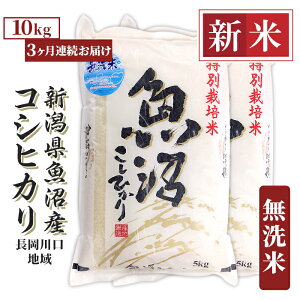 yӂ邳Ɣ[Łz   10kg  RVqJ  V ߘa7N V H0-7M103Ay3A͂zVYRVqJinj10kgi5kg×2܁j