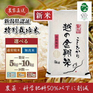 yӂ邳Ɣ[ŁzV ߘa7NY    5kg 10kg V RVqJ    Iׂ 1 6 12 6 12 VЂ yz̋ĕāzVYRVqJuȐ