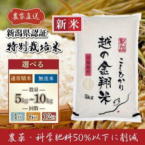 【ふるさと納税】新米予約 令和7年産 米 無洗米 定期便 5kg 10kg 新潟 コシヒカリ 精米 白米 お米 選べる 1回 6回 12回 6ヶ月 12ヶ月 新潟こしひかり 【越の金翔米】新潟県長岡産 特別栽培米 コシ