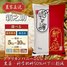 【ふるさと納税】令和7年産 米 無洗米 定期便 5kg 10kg 新潟 新之助 精米 白米 お米 選べる 1回 6回 12回 6ヶ月 12ヶ月 新潟県長岡産 新之助（アグリカンパニーこしじ）