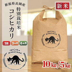 yӂ邳Ɣ[ŁzVė\ ߘa7NY   5kg 10kg V RVqJ Iׂ 1 3 6 3 6 VЂ    VY ʍ͔|ăRVqJi܂Rj