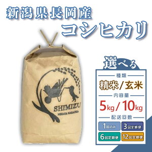 yӂ邳Ɣ[Łzߘa7NY   5kg 10kg V RVqJ  Iׂ    1 3 6 12 3 6 12 VЂ VYRVqJij