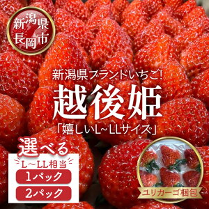 �y�ӂ邳�Ɣ[�Łz�z��P ������ � �C�`�S L�`LL�T�C�Y 420g �I�ׂ� 1�p�b�N 2�p�b�N �����J�[�S���� �V���������Y