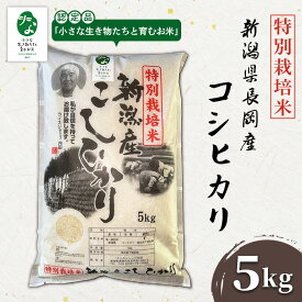 【ふるさと納税】P1-01新潟県長岡産特別栽培米コシヒカリ 5kg【「小さな生き物たちと育むお米」認証品】