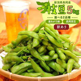 【ふるさと納税】枝豆 えだまめ 5kg 訳あり 傷 規格外 不揃い 品種が選べる 湯あがり娘 長岡茶豆 新潟 冷蔵配送 【訳あり】長岡産季節の枝豆5kg（えちご中越農業協同組合）