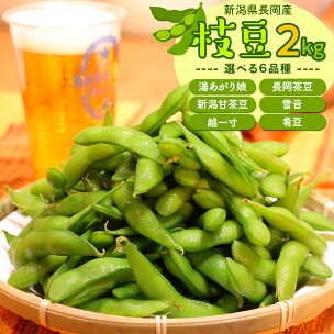 枝豆 えだまめ 2kg 小分け 250g×8袋入り 品種が...