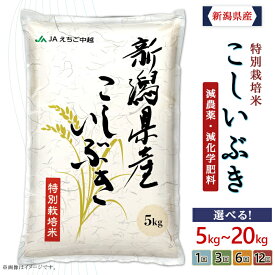 【ふるさと納税】米 定期便 令和7年 新潟 こしいぶき 選べる 5kg 10kg 20kg 1回 3回 6回 12回 3ヶ月 6ヶ月 12ヶ月 特別栽培米 選べる発送時期 選べる容量 選べる配送回数 選べる 発送時期が選べる お米 JA直送 農協（えちご中越農業協同組合）