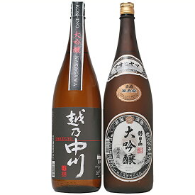 【ふるさと納税】日本酒 一升 飲み比べ 1.8L 新潟 C1-A9大吟醸飲み比べセット（1800ml×2本）