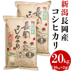楽天市場 ふるさと納税 米 kgの通販