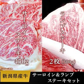 【ふるさと納税】76-57B新潟県産牛（長岡産）サーロインステーキ450g＆ランプステーキ2枚（計300g）