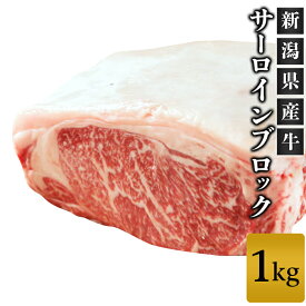 【ふるさと納税】牛肉 ブロック 76-69新潟県産牛（長岡産）サーロイン1kgブロック