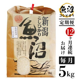 【ふるさと納税】米 定期便 5kg 12ヶ月 白米 魚沼 新潟こしひかり 令和5年 B7-36【12ヶ月連続お届け】魚沼産コシヒカリ5kg（長岡川口地域）