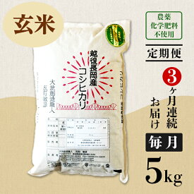 【ふるさと納税】米 定期便 5kg 玄米 コシヒカリ 新潟 令和5年 E1-14【3ヶ月連続お届け】新潟県長岡産コシヒカリ玄米5kg