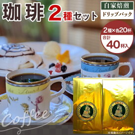 【ふるさと納税】コーヒー ドリップ 47-16ドリップバック珈琲　2種セット