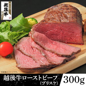 yӂ邳Ɣ[Łz63-41AVY z㋍[Xgr[tiuXPj300g